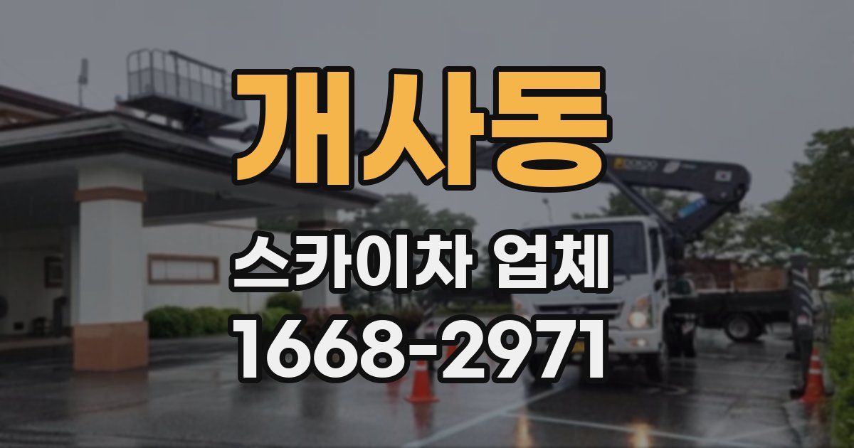 개사동 스카이차 업체