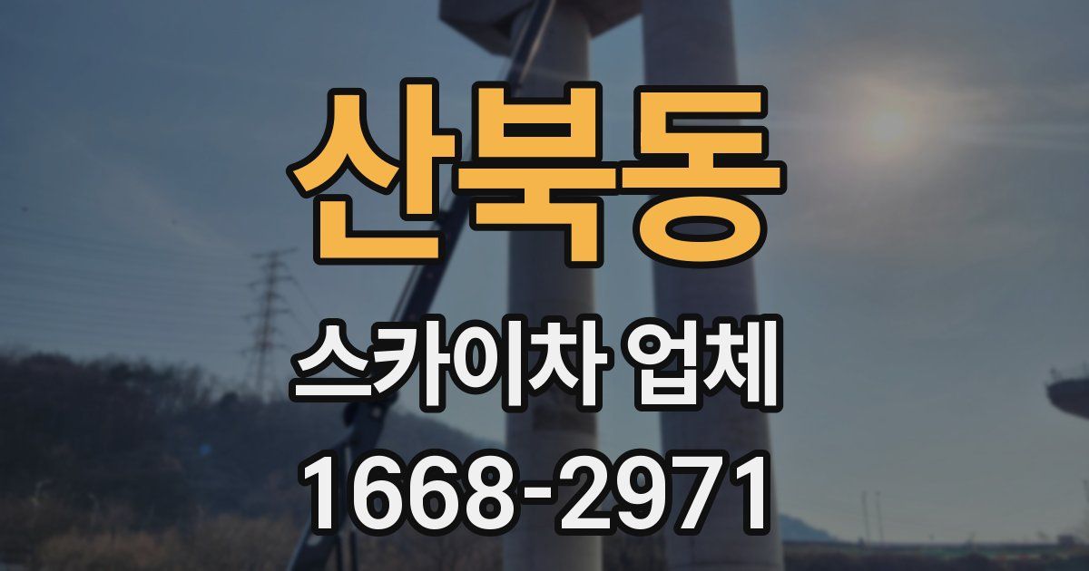 산북동 스카이차 업체