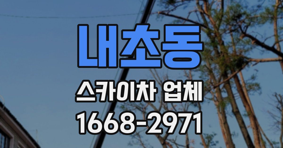 내초동 스카이차 업체
