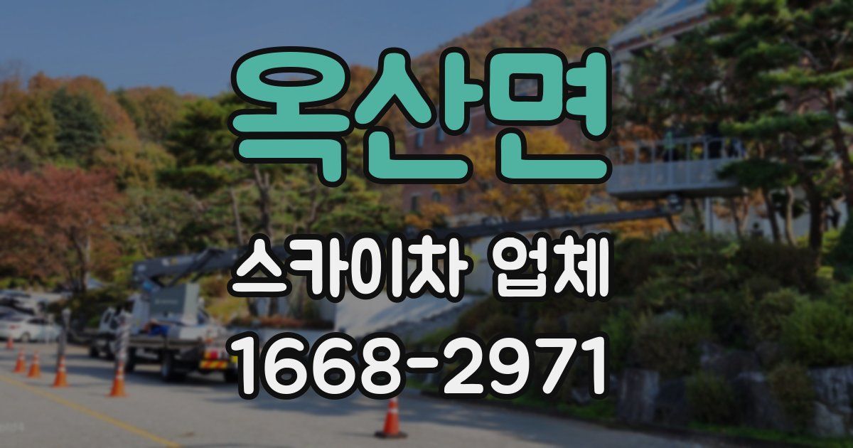 옥산면 스카이차 업체