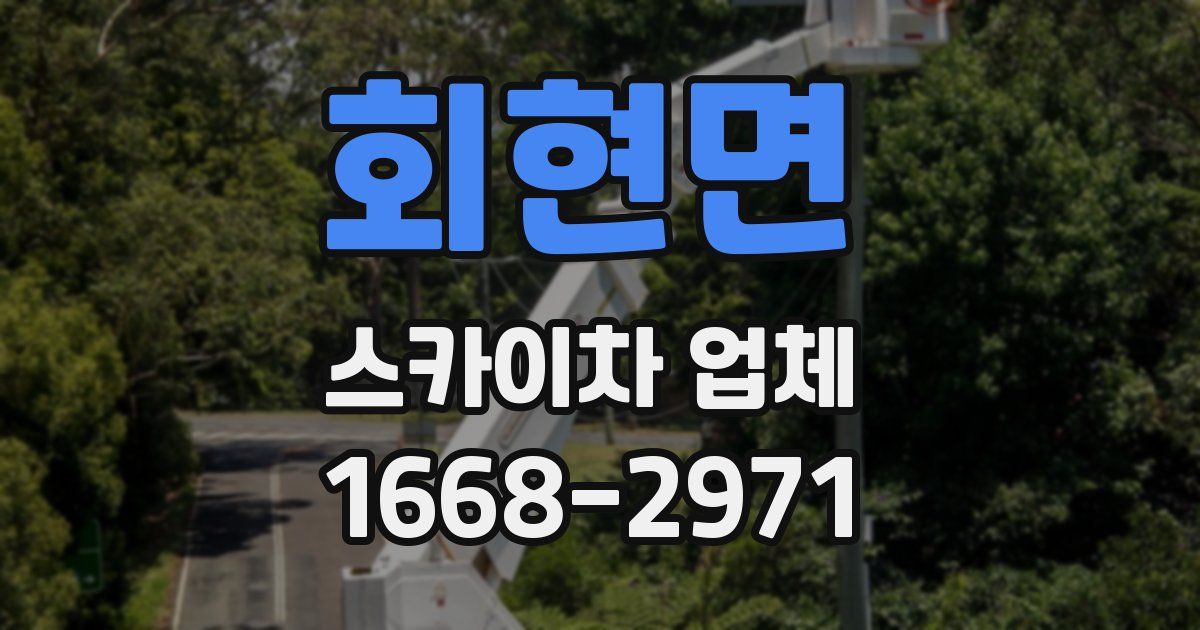 회현면 스카이차 업체