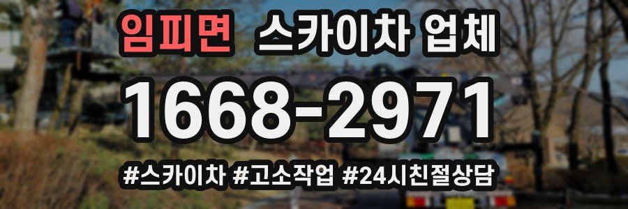 임피면 스카이차 업체