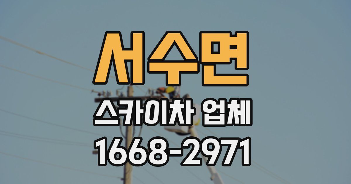 서수면 스카이차 업체