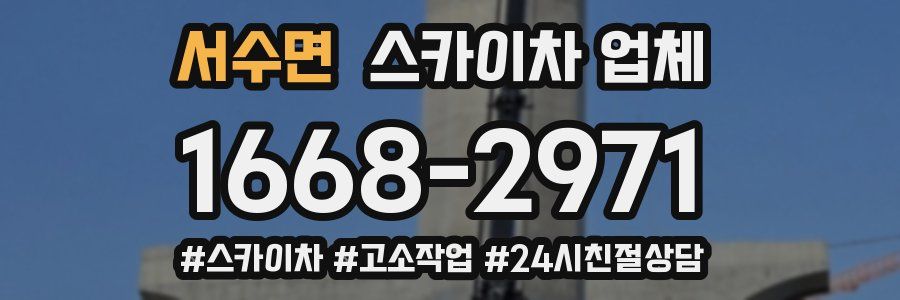 서수면 스카이차 업체