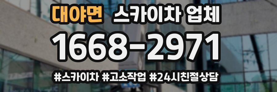 대야면 스카이차 업체
