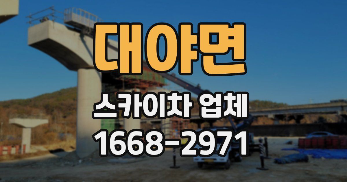 대야면 스카이차 업체