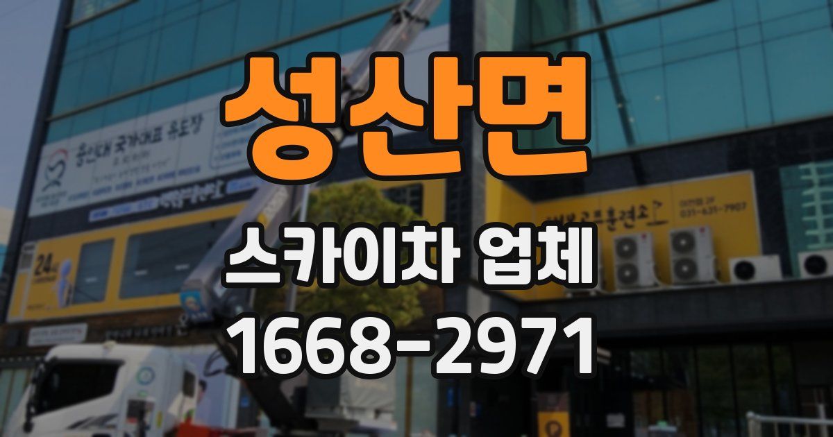 성산면 스카이차 업체