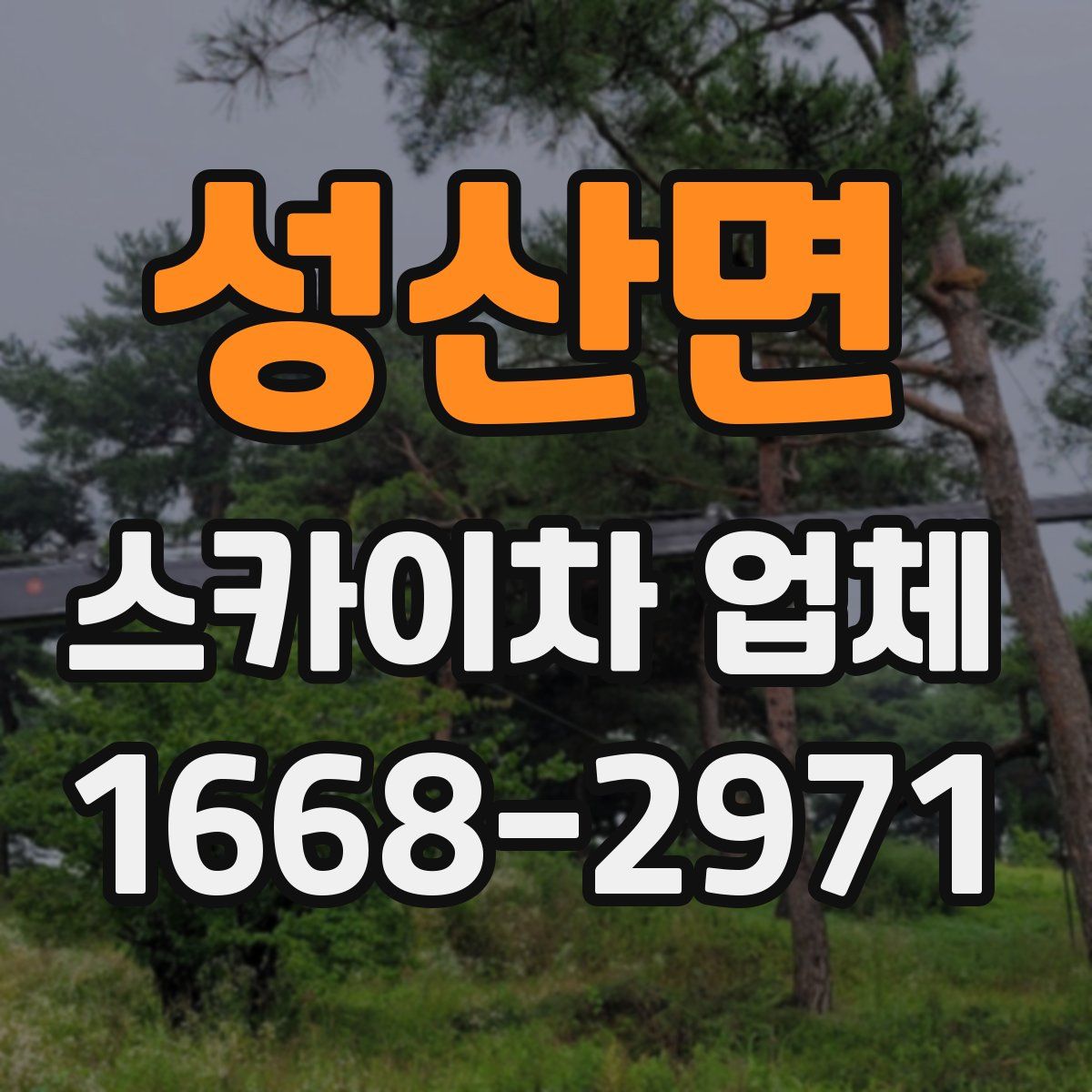 성산면 스카이차 업체