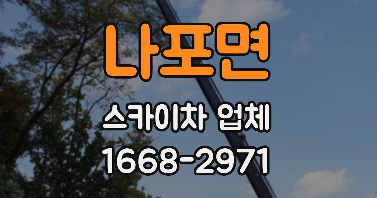 나포면 스카이차 업체