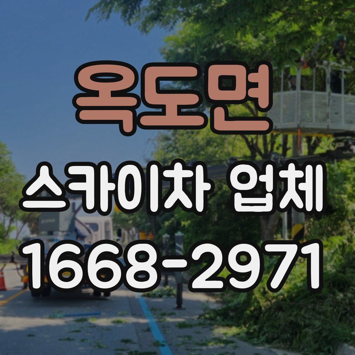 옥도면 스카이차 업체