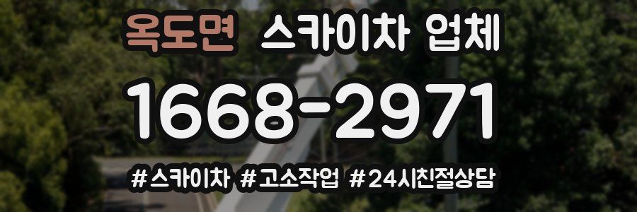 옥도면 스카이차 업체