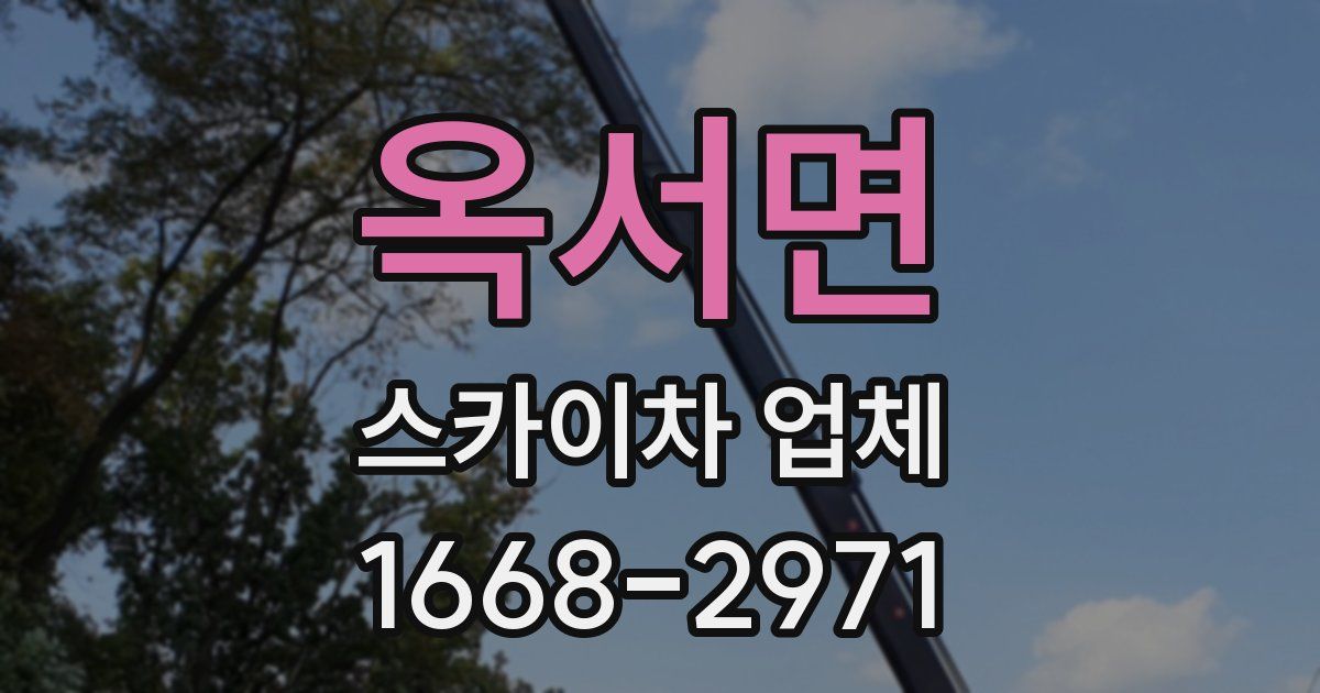 옥서면 스카이차 업체