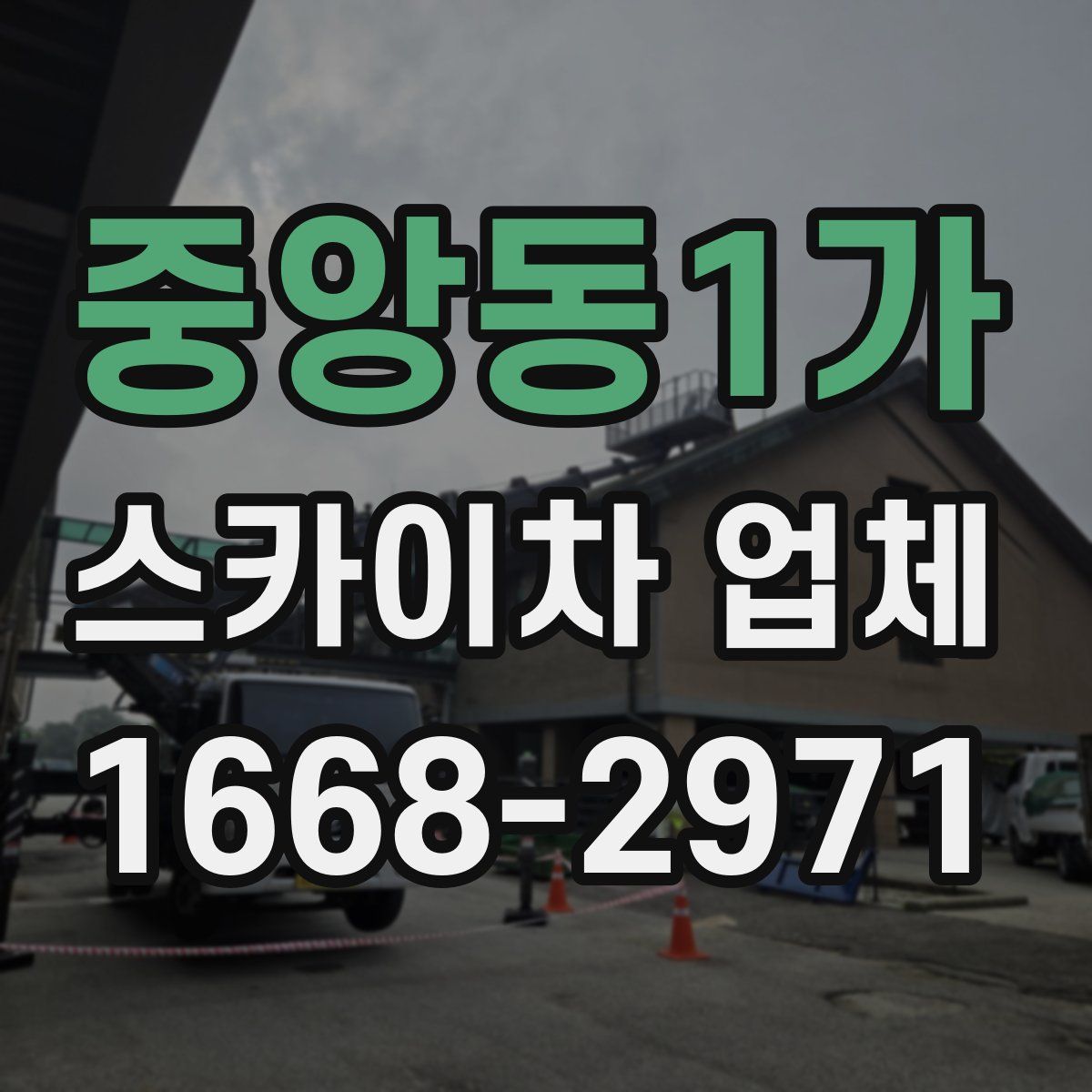 중앙동1가 스카이차 업체