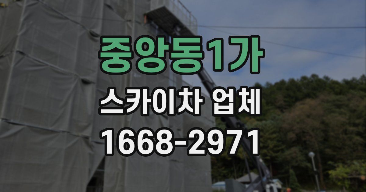 중앙동1가 스카이차 업체