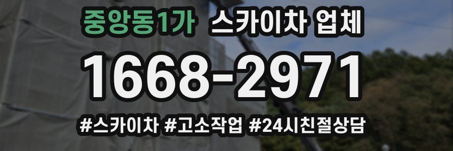 중앙동1가 스카이차 업체