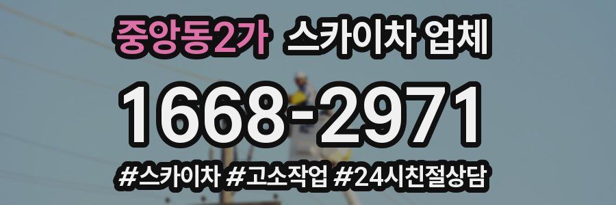 중앙동2가 스카이차 업체