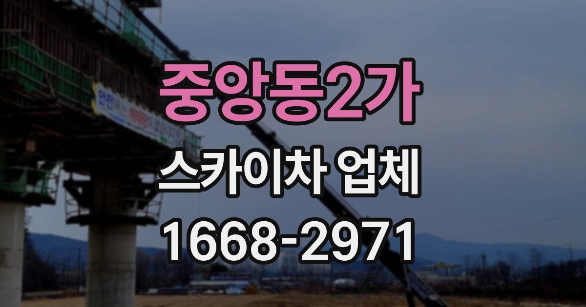 중앙동2가 스카이차 업체