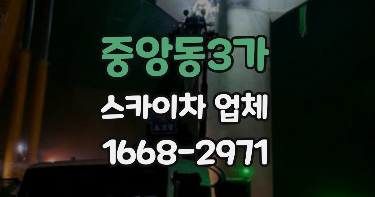 중앙동3가 스카이차 업체