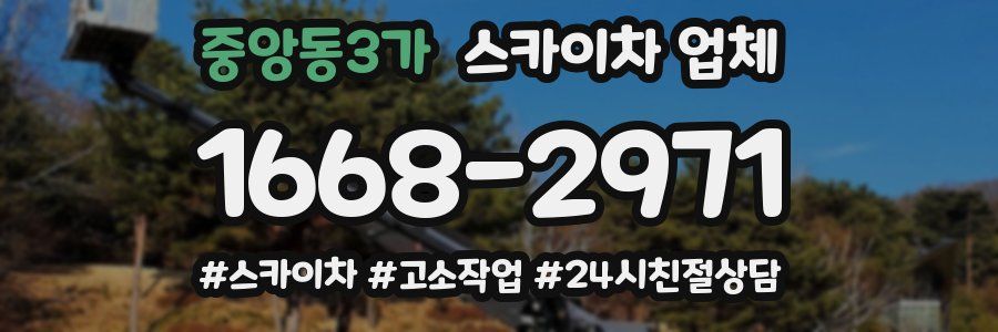 중앙동3가 스카이차 업체