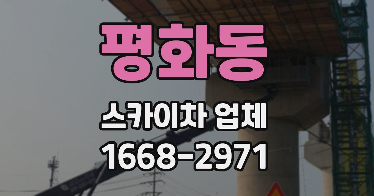 평화동 스카이차 업체