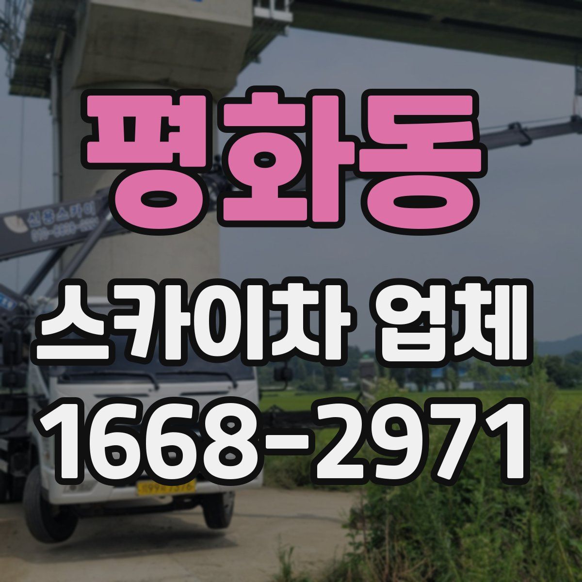 평화동 스카이차 업체