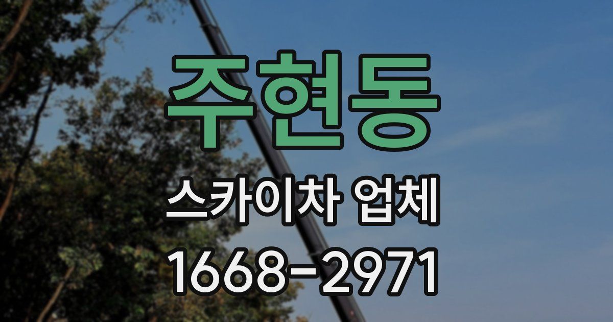 주현동 스카이차 업체