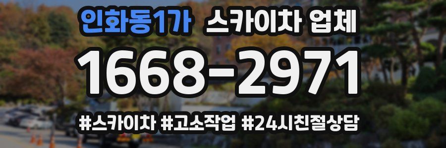 인화동1가 스카이차 업체