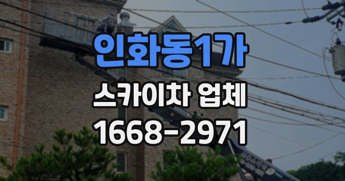 인화동1가 스카이차 업체
