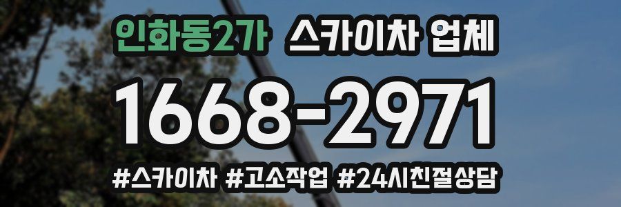 인화동2가 스카이차 업체