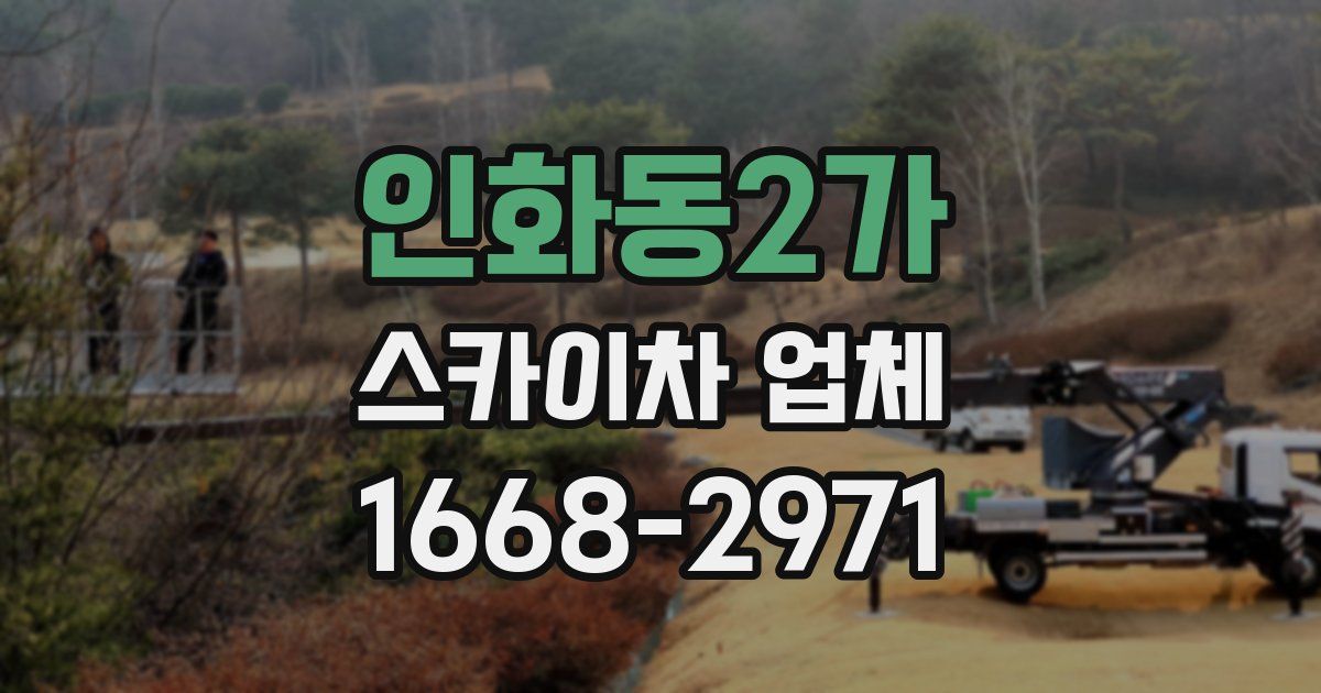 인화동2가 스카이차 업체