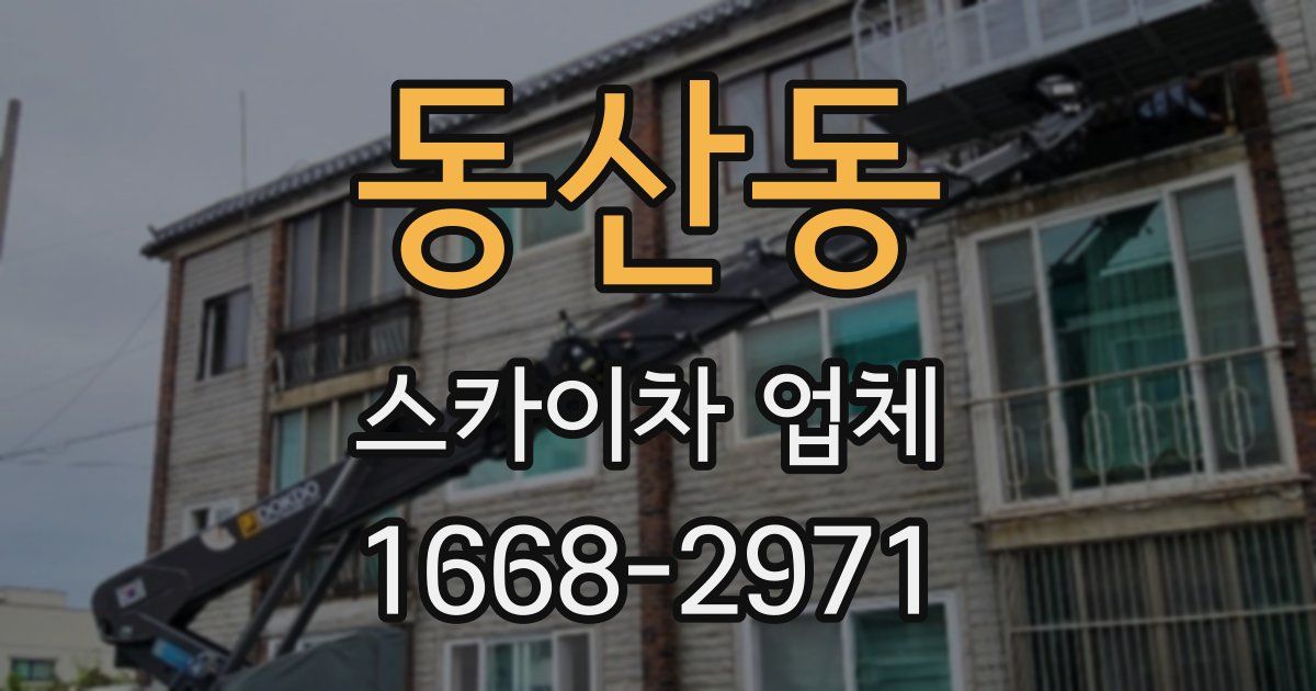 동산동 스카이차 업체