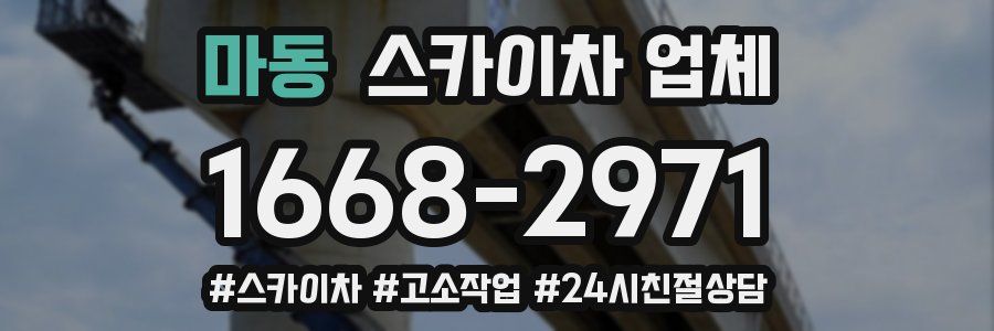 마동 스카이차 업체