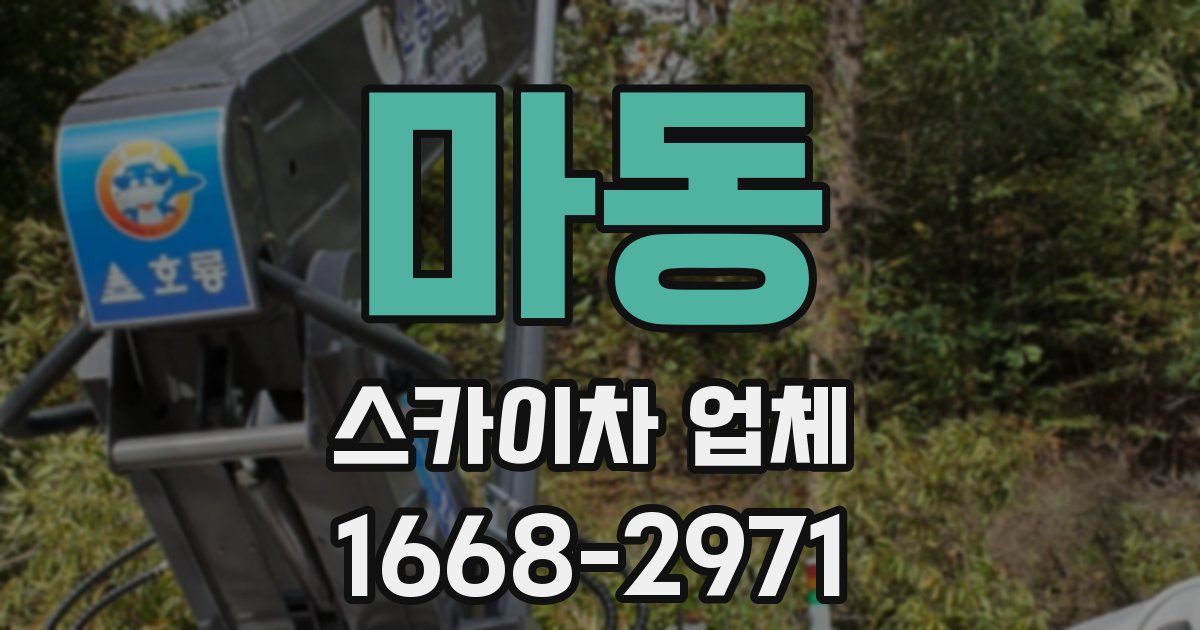 마동 스카이차 업체