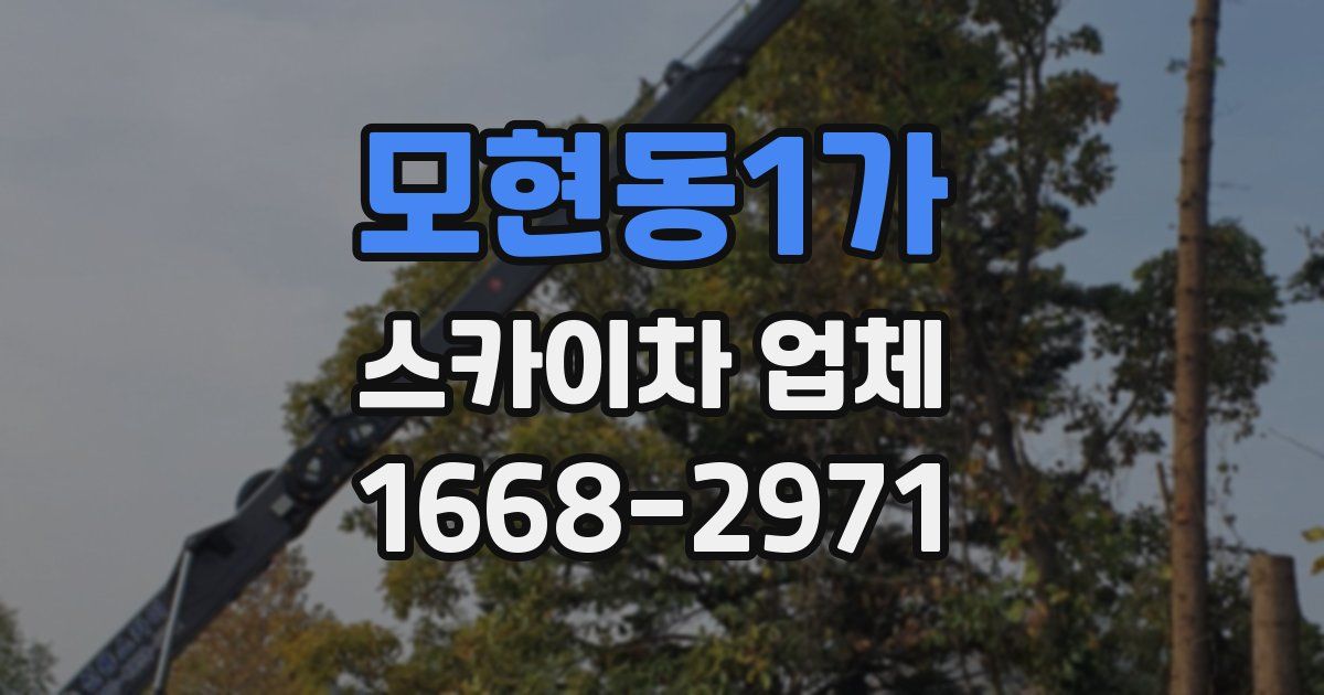 모현동1가 스카이차 업체