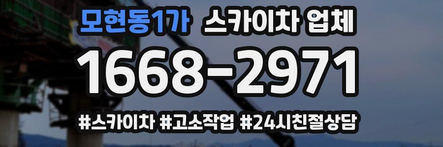 모현동1가 스카이차 업체