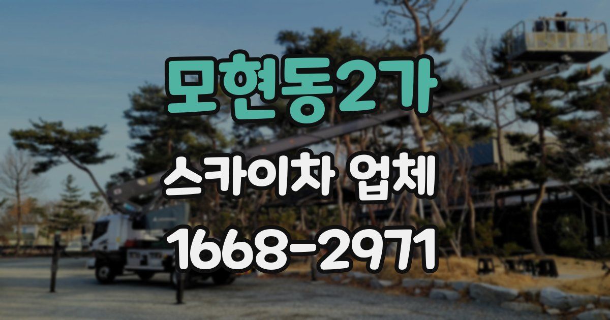 모현동2가 스카이차 업체