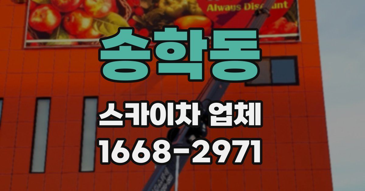 송학동 스카이차 업체