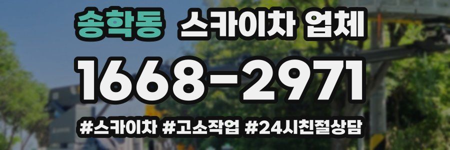 송학동 스카이차 업체