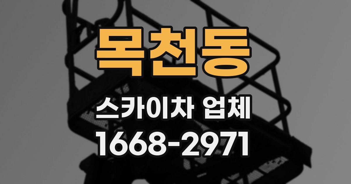 목천동 스카이차 업체