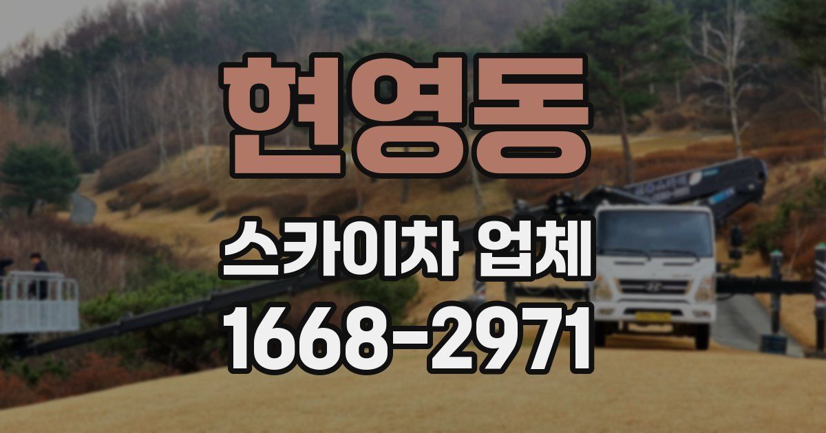 현영동 스카이차 업체