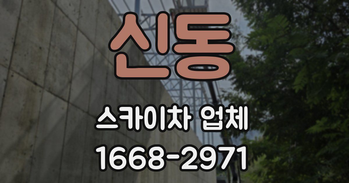 신동 스카이차 업체