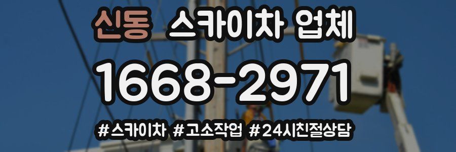 신동 스카이차 업체