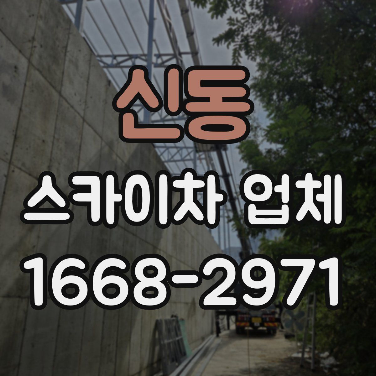 신동 스카이차 업체