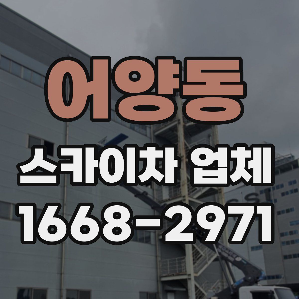 어양동 스카이차 업체