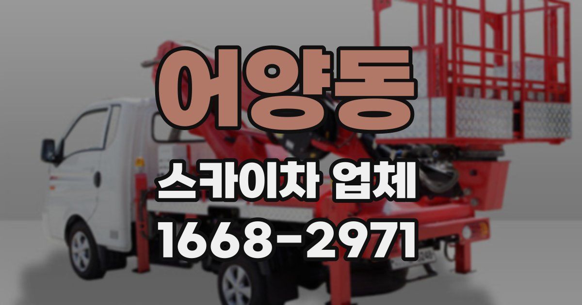 어양동 스카이차 업체
