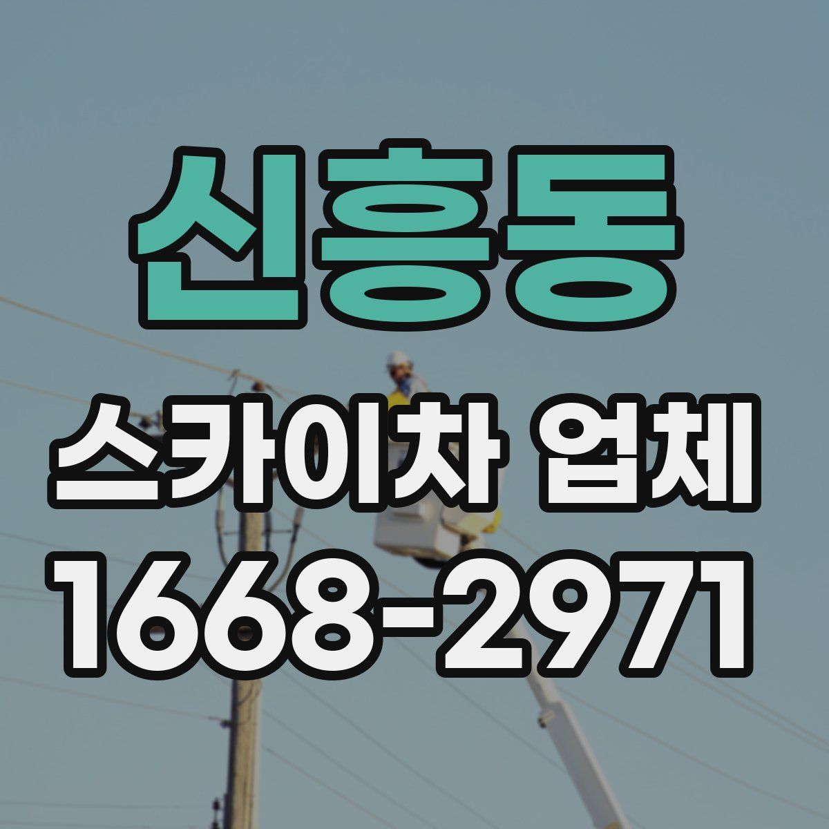 신흥동 스카이차 업체