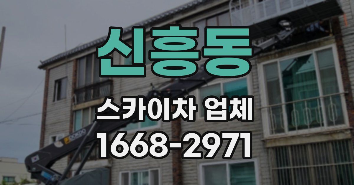신흥동 스카이차 업체
