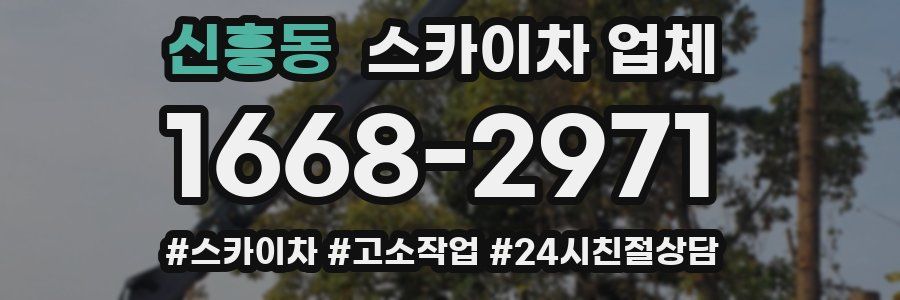 신흥동 스카이차 업체