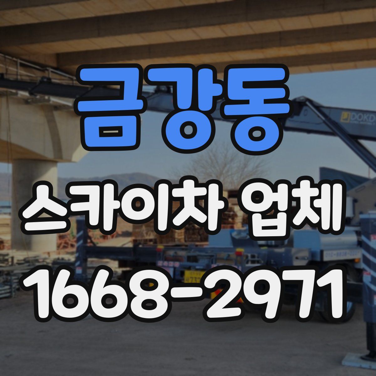 금강동 스카이차 업체