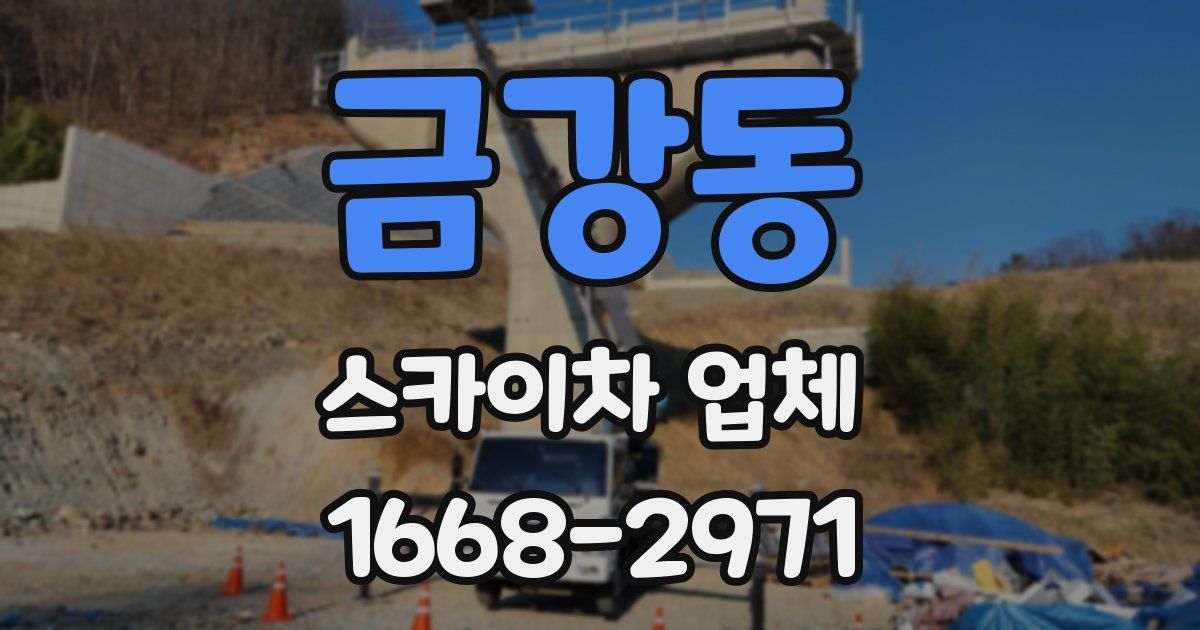 금강동 스카이차 업체